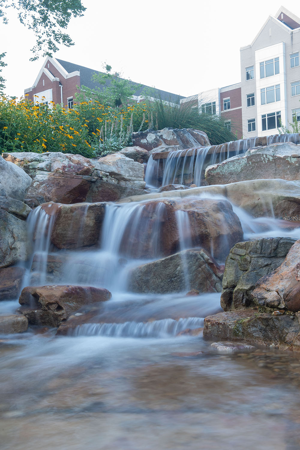 Belmont's Bear Creek