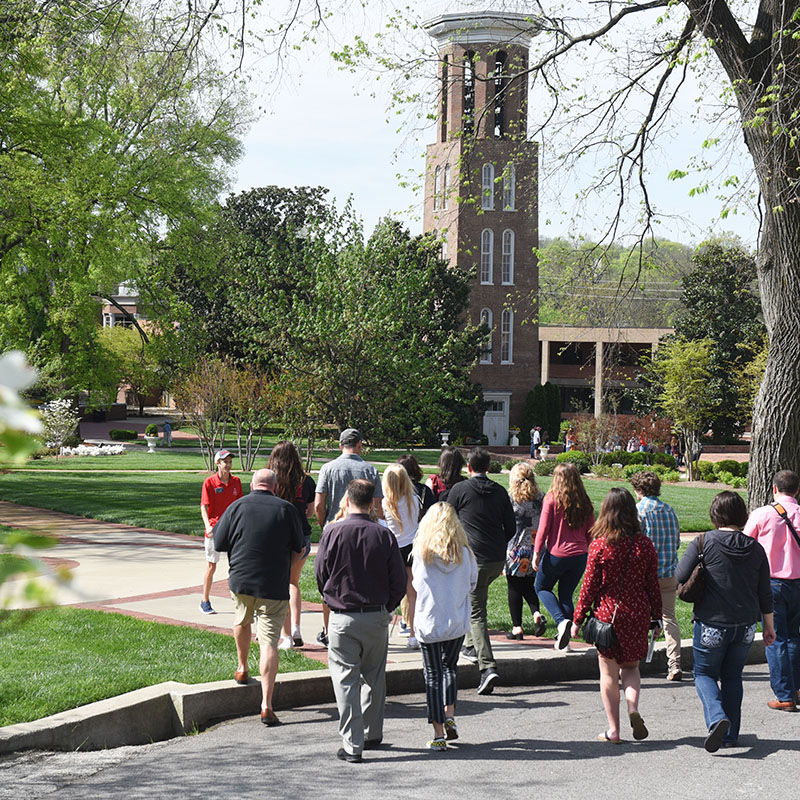 Student giving an Admissions Campus Tour with the Bell Tower in the background