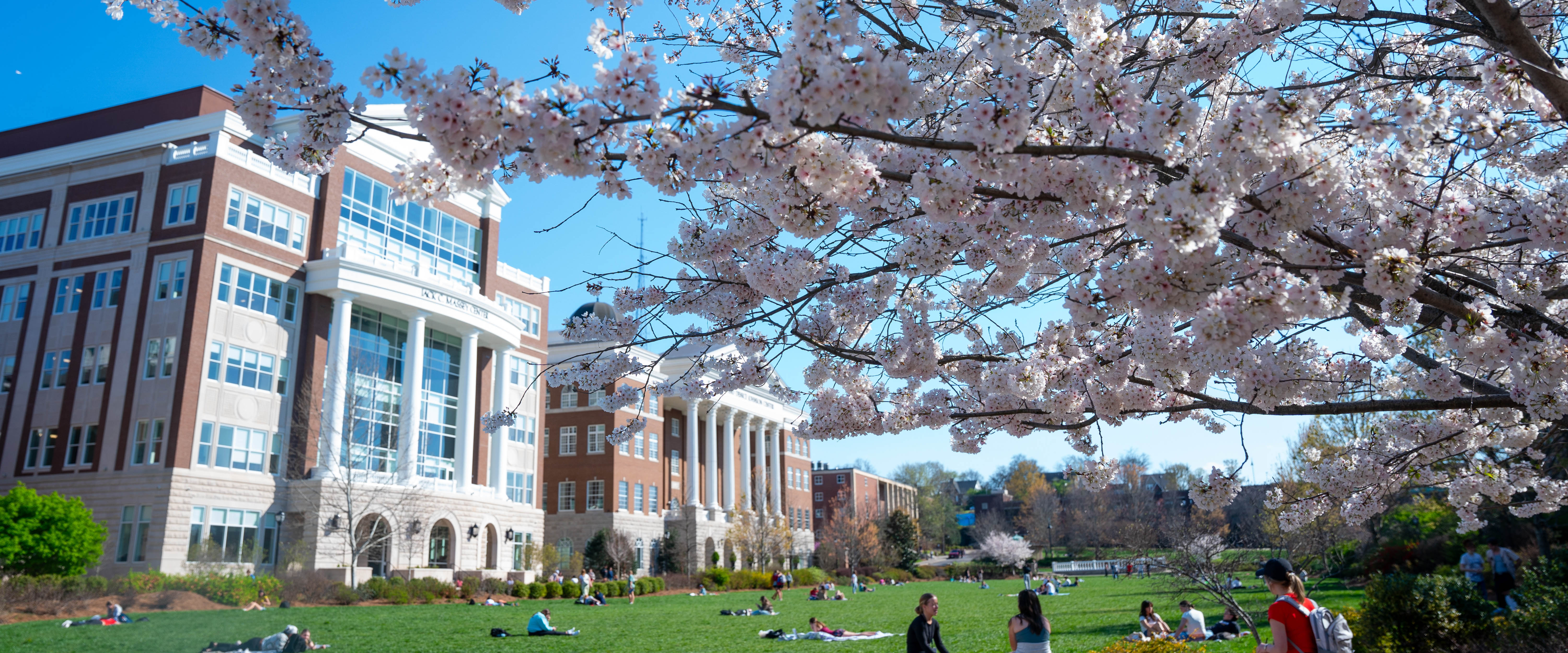 the main lawn on a clear spring day with students laying on blankets