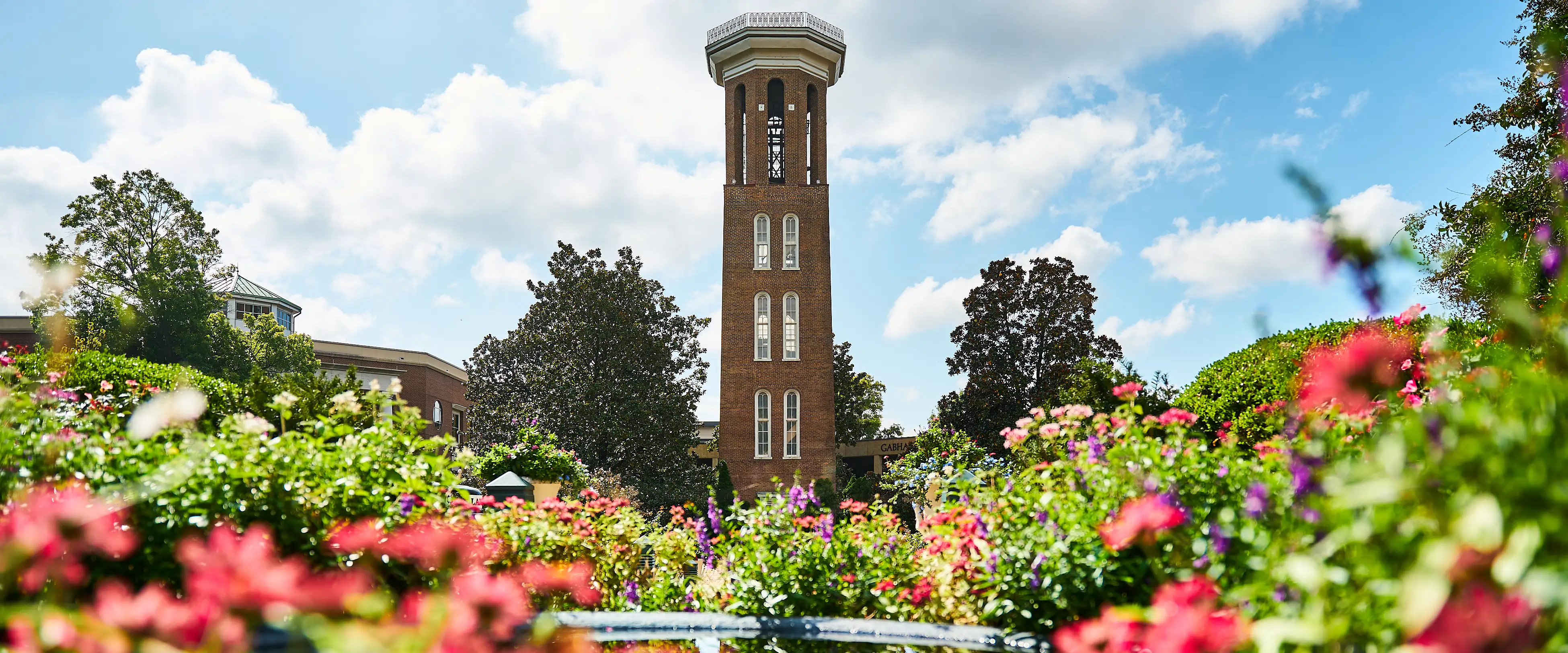 the bell tower on a sunny day surrounded by flowers