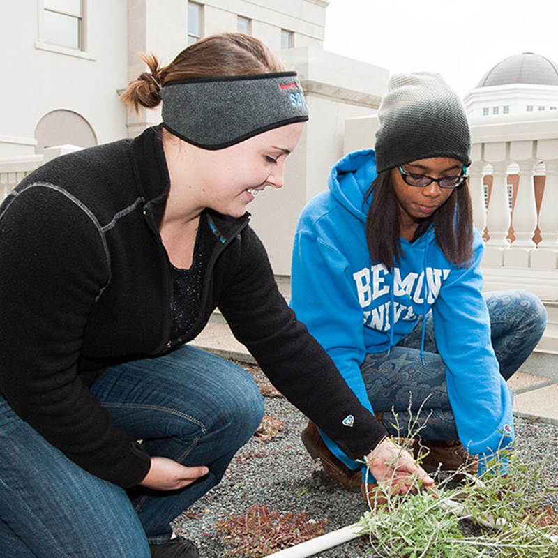 Students digging in roof top garden