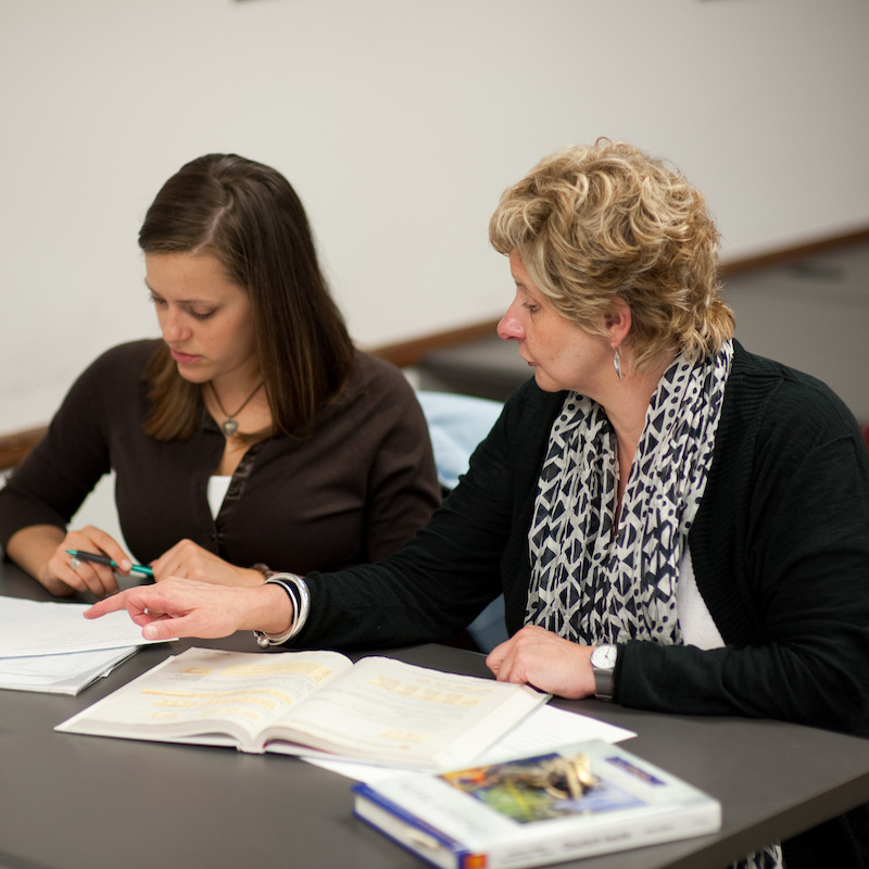 Professor helps student with studies