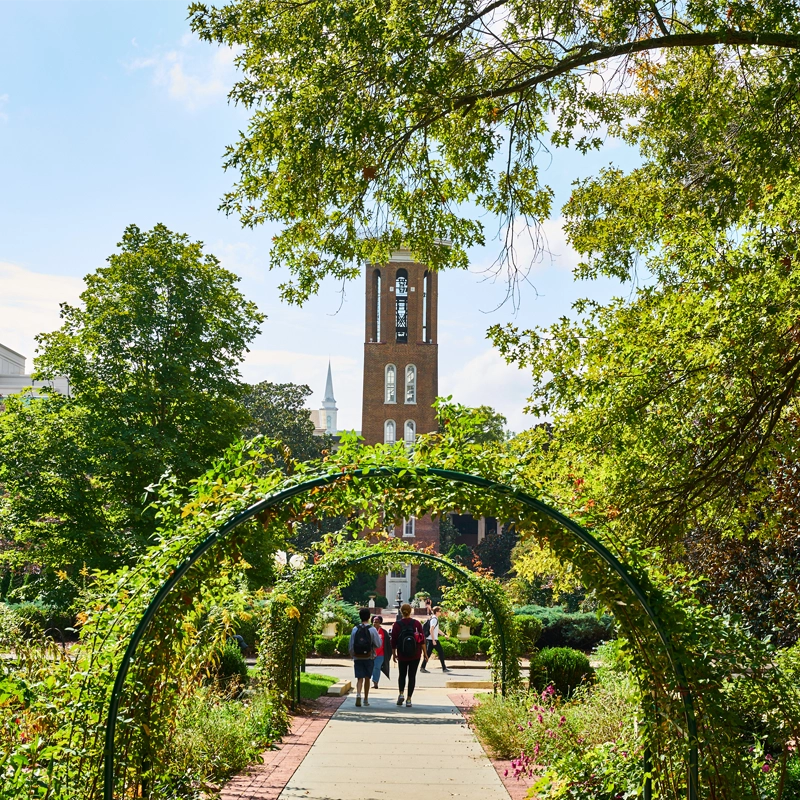 image of Belmont University belltower surrounded by green foliage
