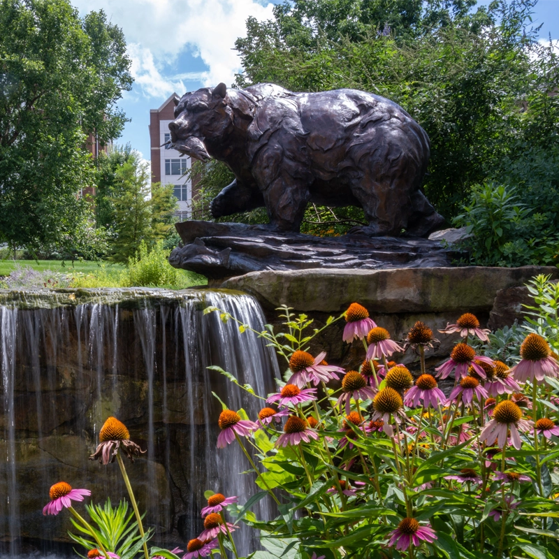 A view of a bronze bear statue and purple coneflowers on the campus of Belmont University.