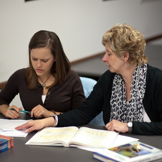 Student and teacher discussion