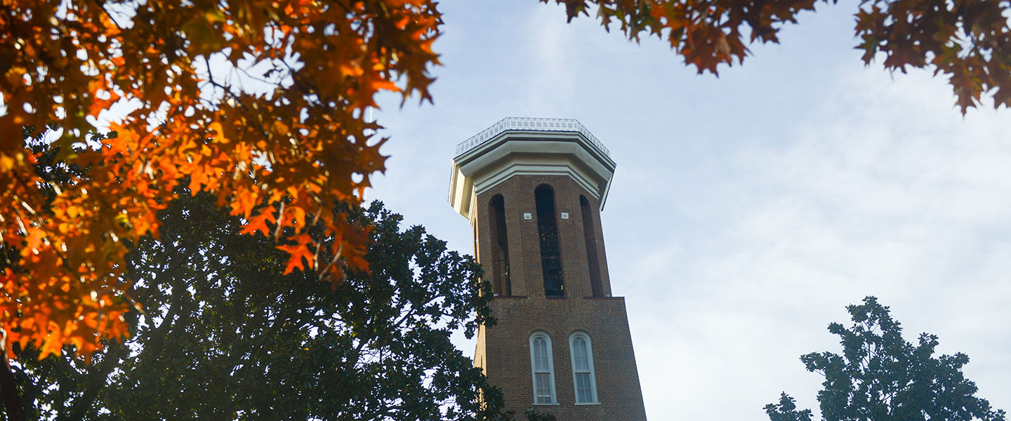 Belmont's Bell Tower seen through trees