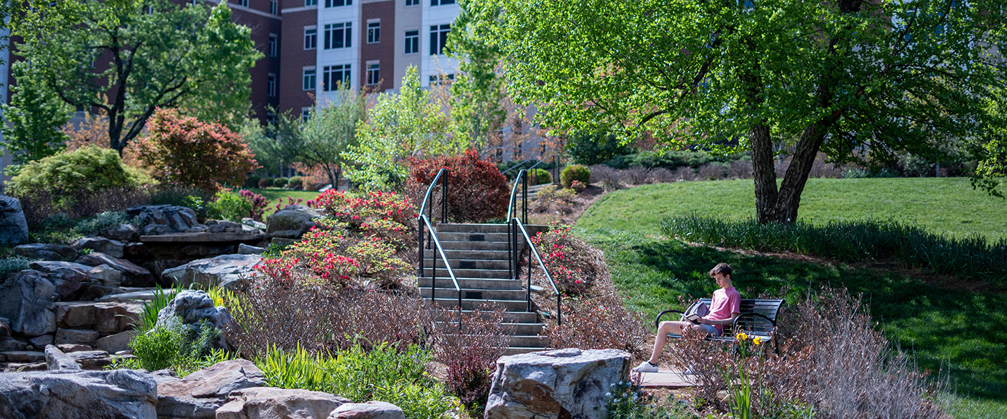 Student sitting outside on a bench on a sunny day next to Bear Creek