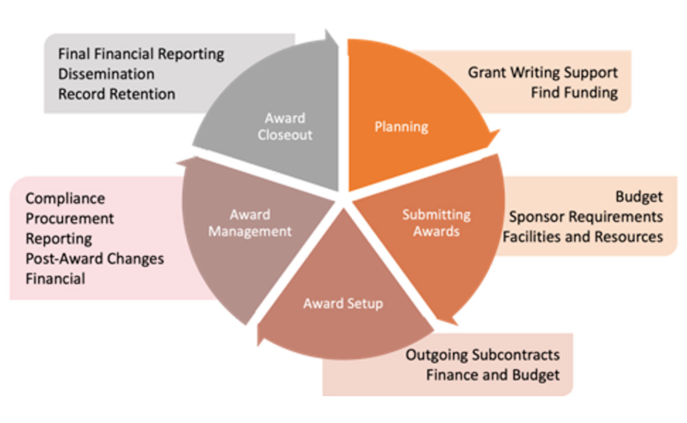 Graph of Grant Cycle - Live text written above