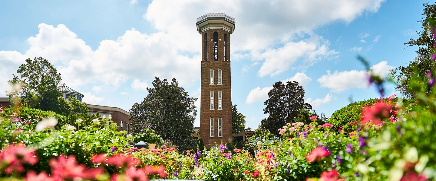 Belmont University bell tower with pink flowers and foliage in the foreground.