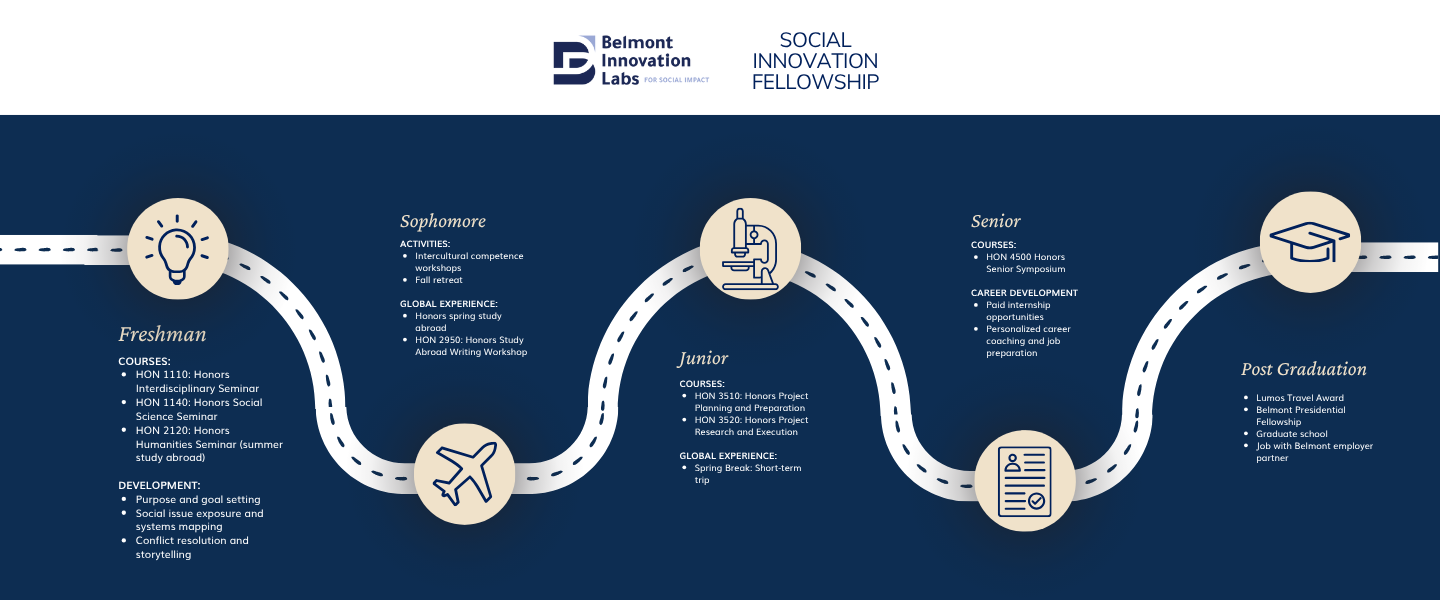 Social Innovation Fellowship Journey