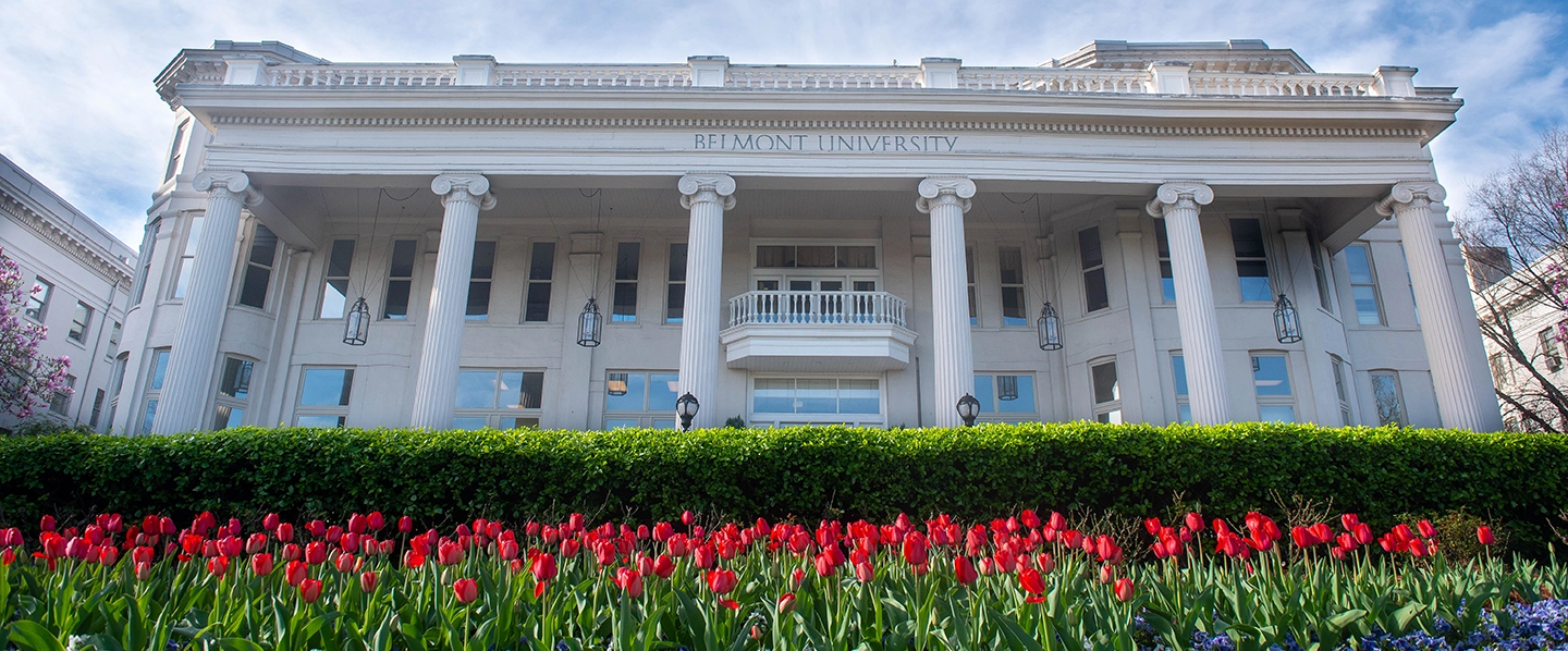 Tulips in front of a Belmont University building