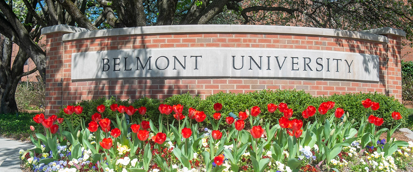 Close up of tulips with a brick entrance sign in the background that reads Belmont University.