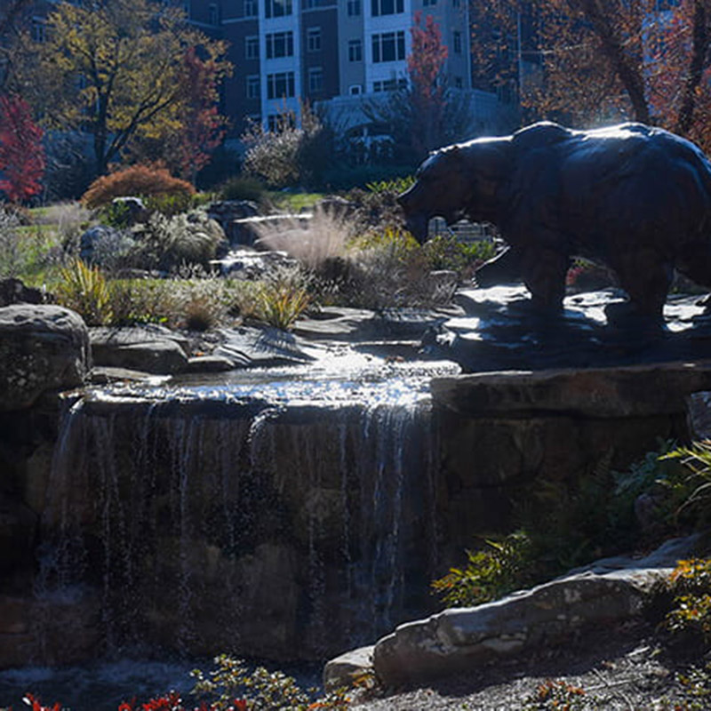 Bear creek statue outside on a sunny day