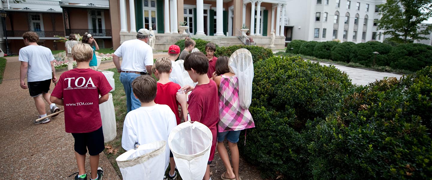 Campers participate in the Beetles, Bugs, &amp; Butterflies camp on Belmont's campus