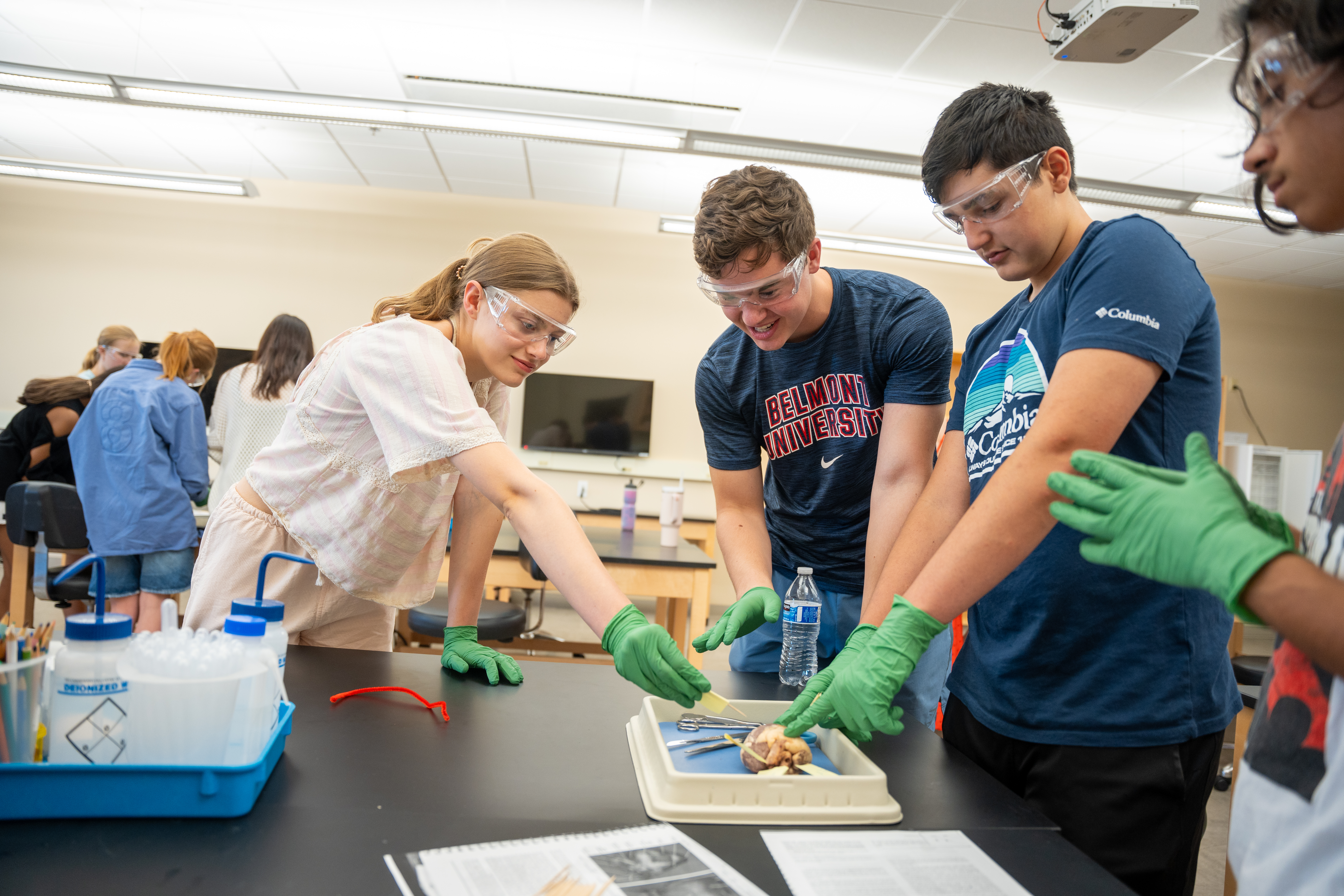 Students dissecting an organ