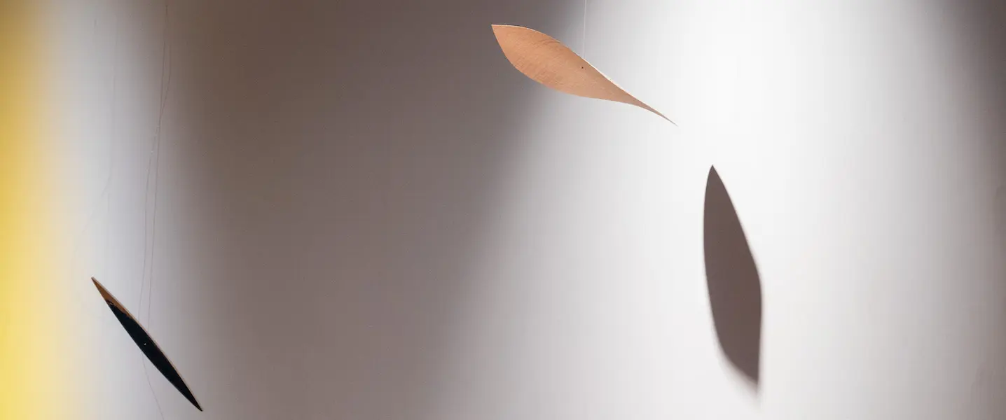 Part of Tom Carr's "in between" gallery