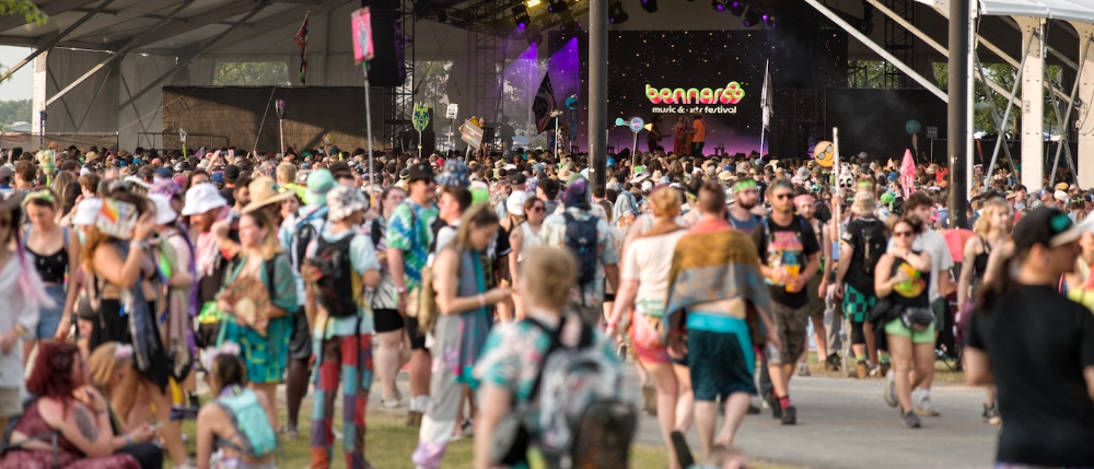 Crowd at bonnaroo music and arts festival