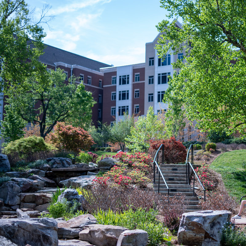 Campus on a sunny day