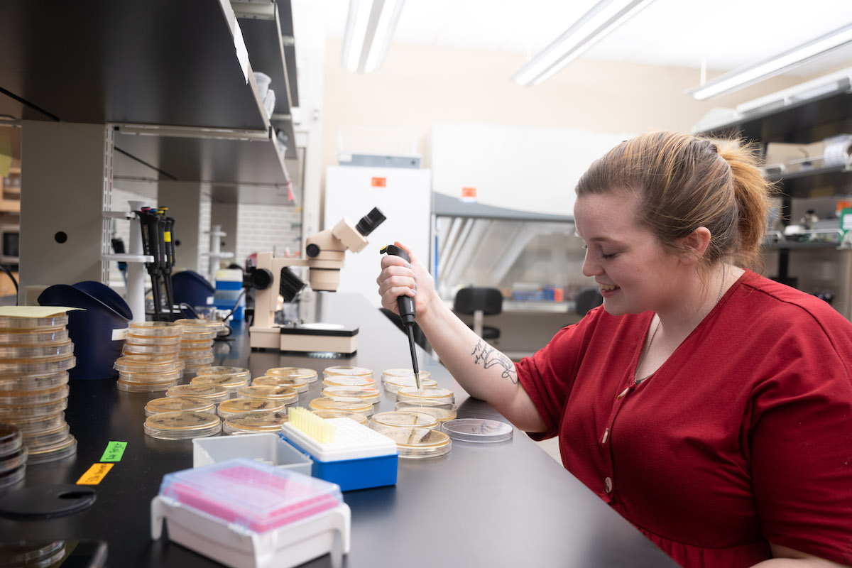 student working in the lab