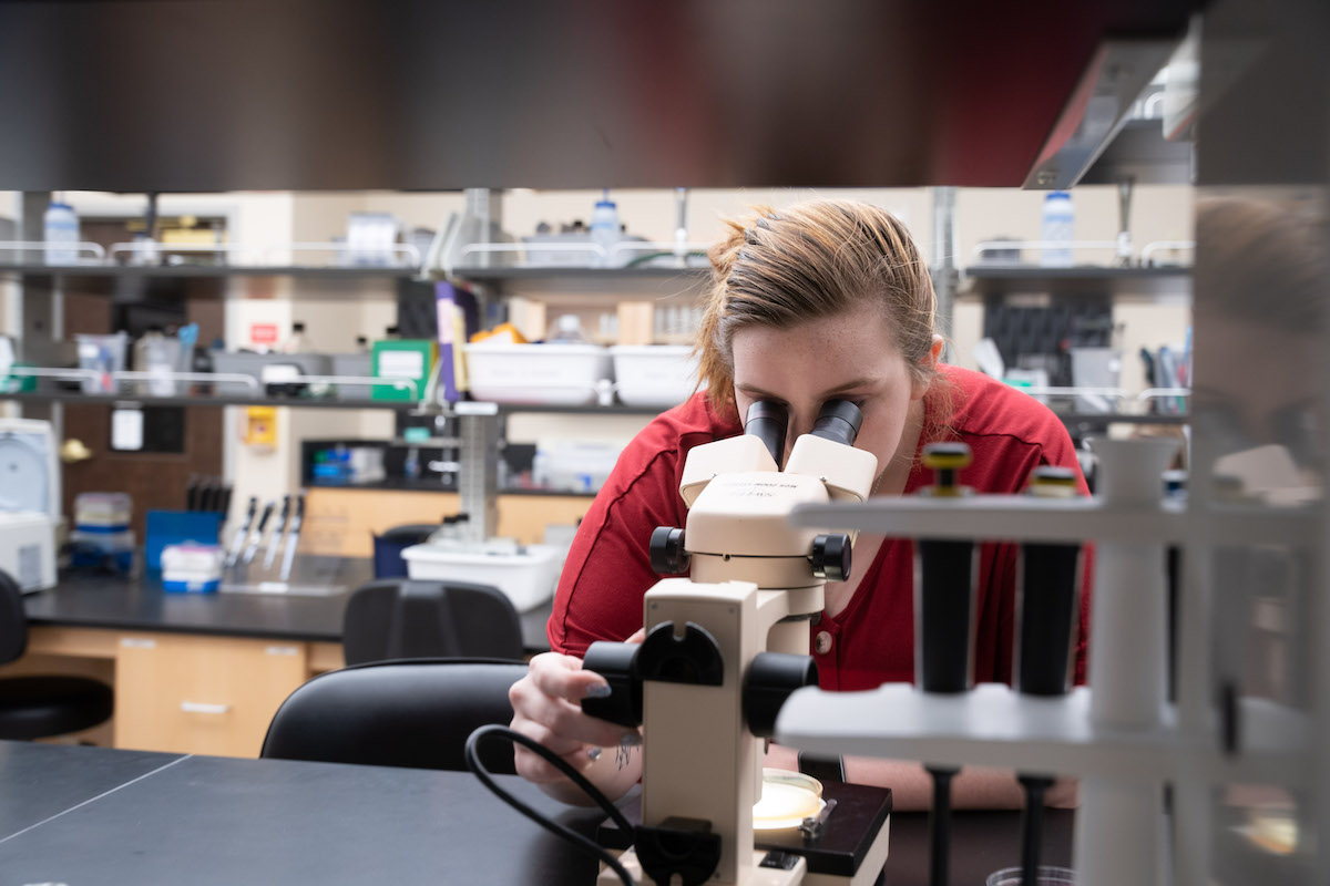 student working in the lab