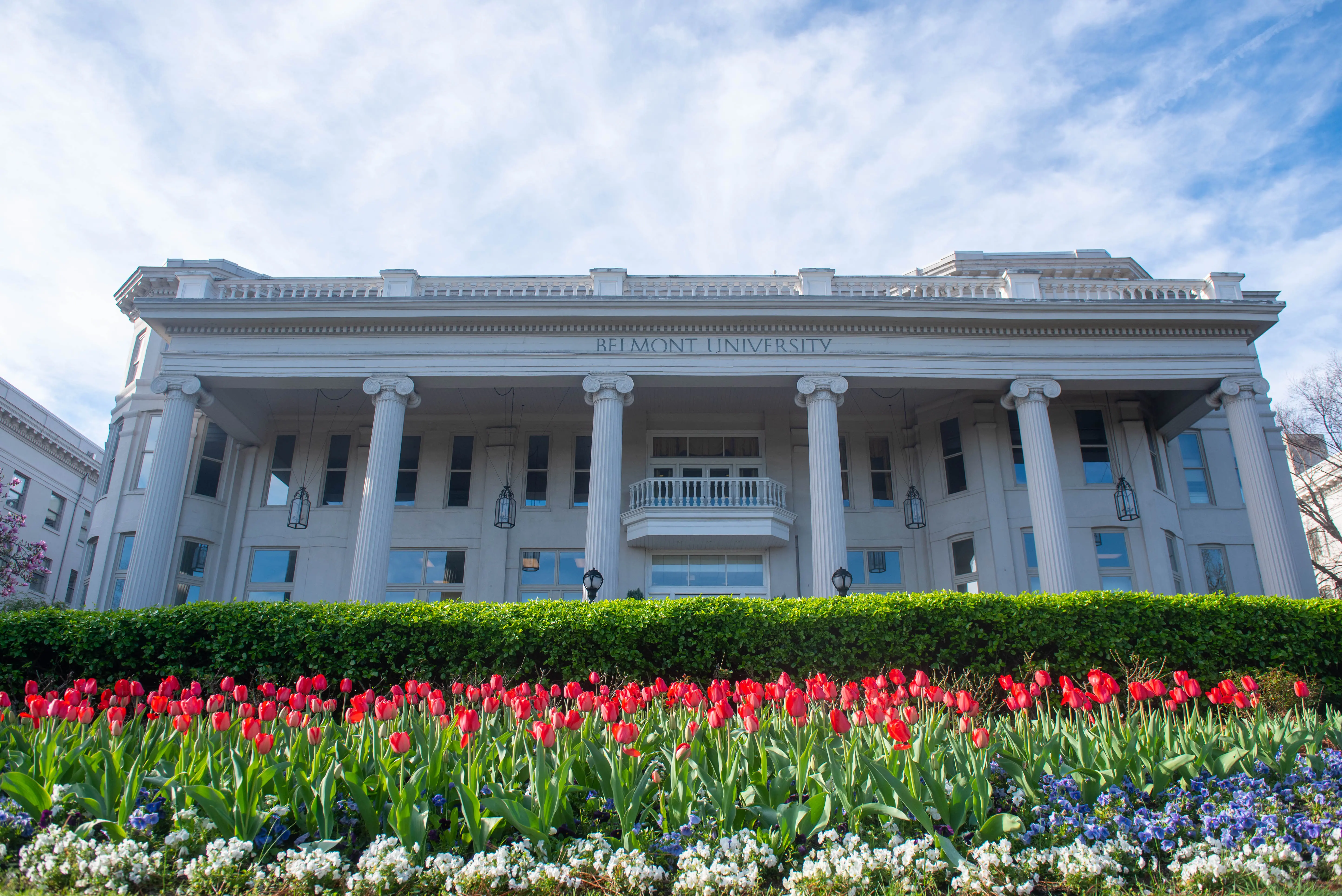 Tulips blooming in front of Belmont's Freeman Hall