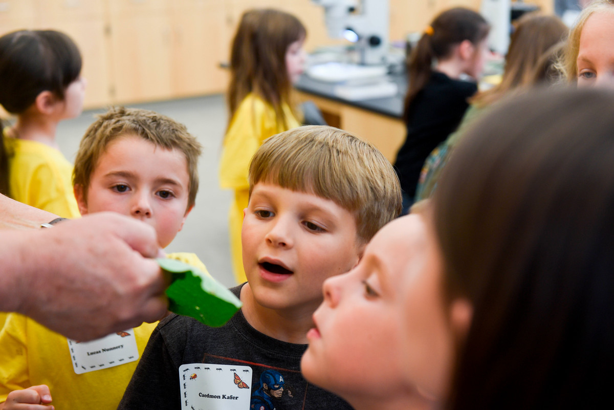 Kids smile while looking at bugs