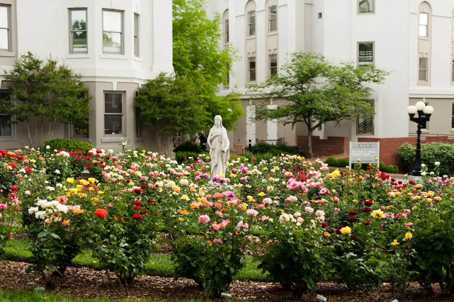 A flower garden on Belmont's historic lawn, with a historic statue in the middle