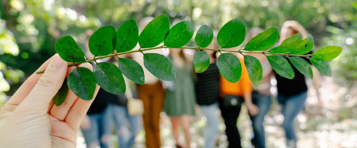 a leaf obstructs the view of women from the healing house posing outdoors