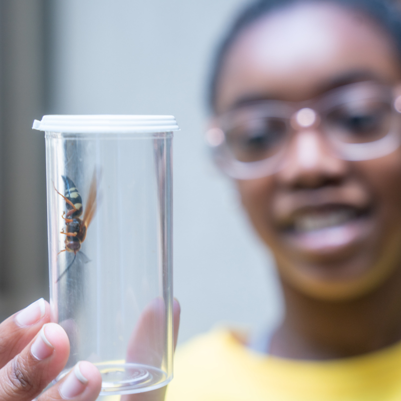 Camper holds up wasp in jar