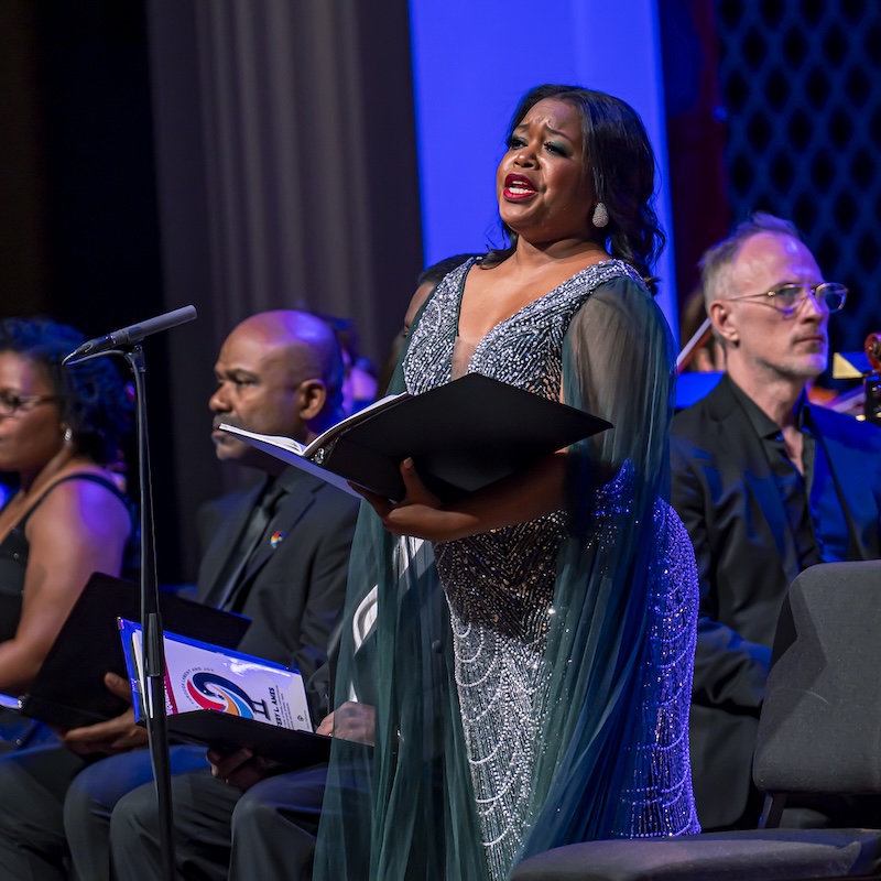 Orator speaks at "Requiem for Colour"