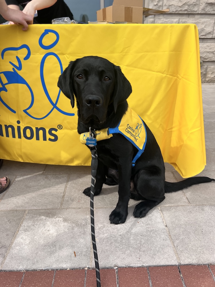 Paddy in front of a Canine Companions banner