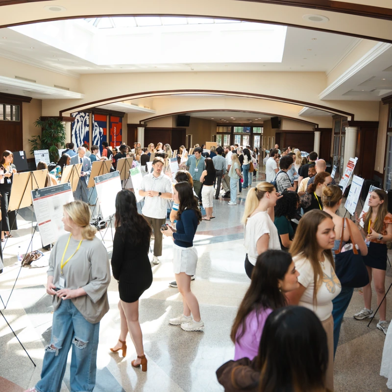 Students present at SPARK