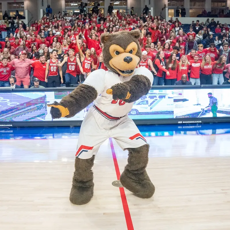 Bruiser dancing at basketball game