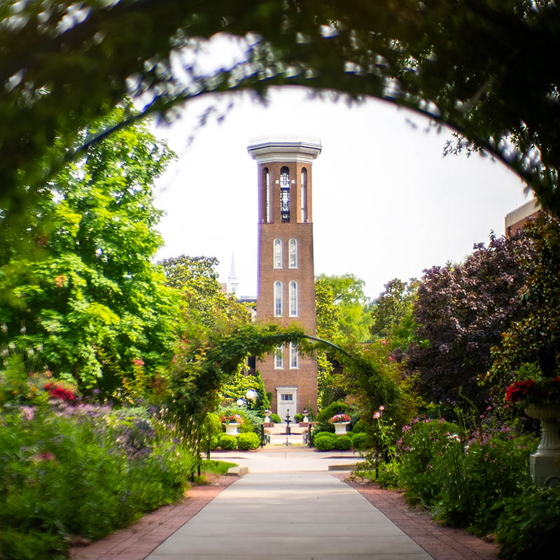 the Bell Tower on a sunny day