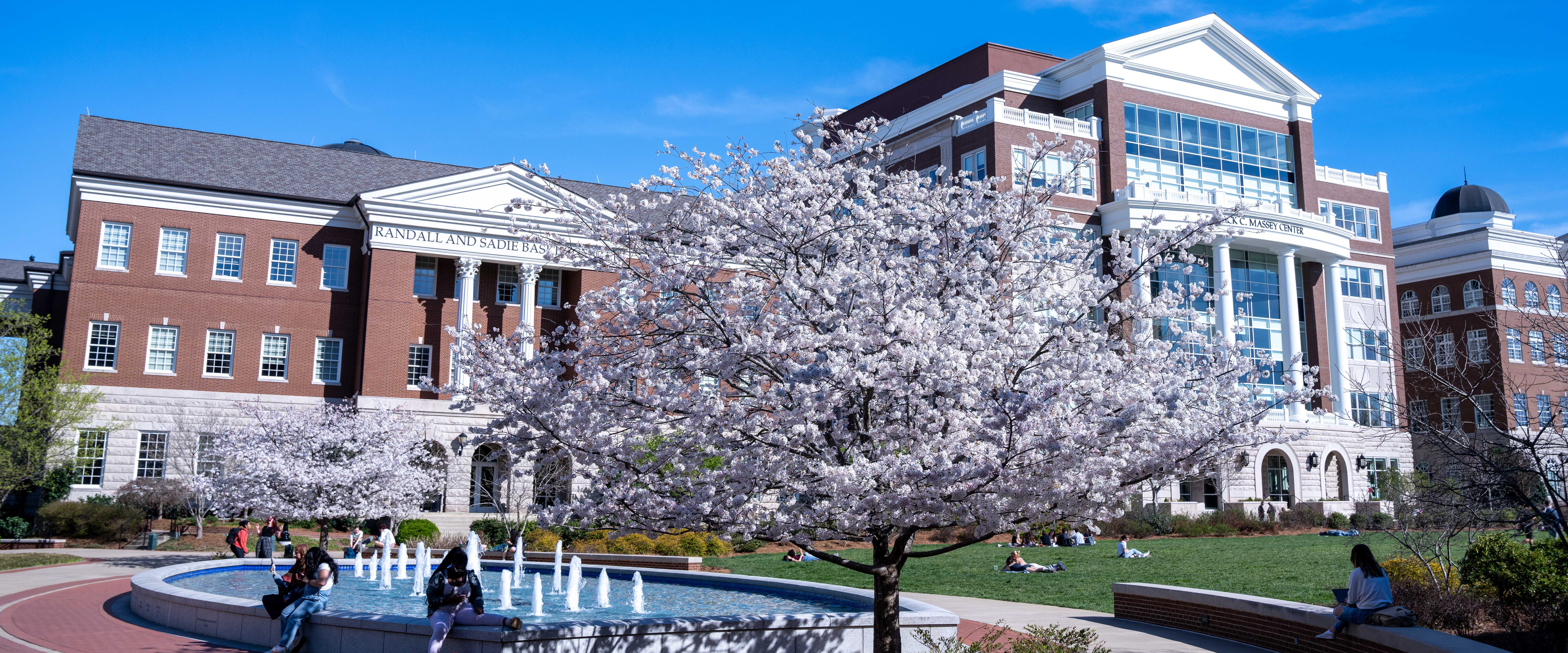 A photo of the lawn with a tree with a pink floral tree in the foreground and the Jack C. Massey Center in the background