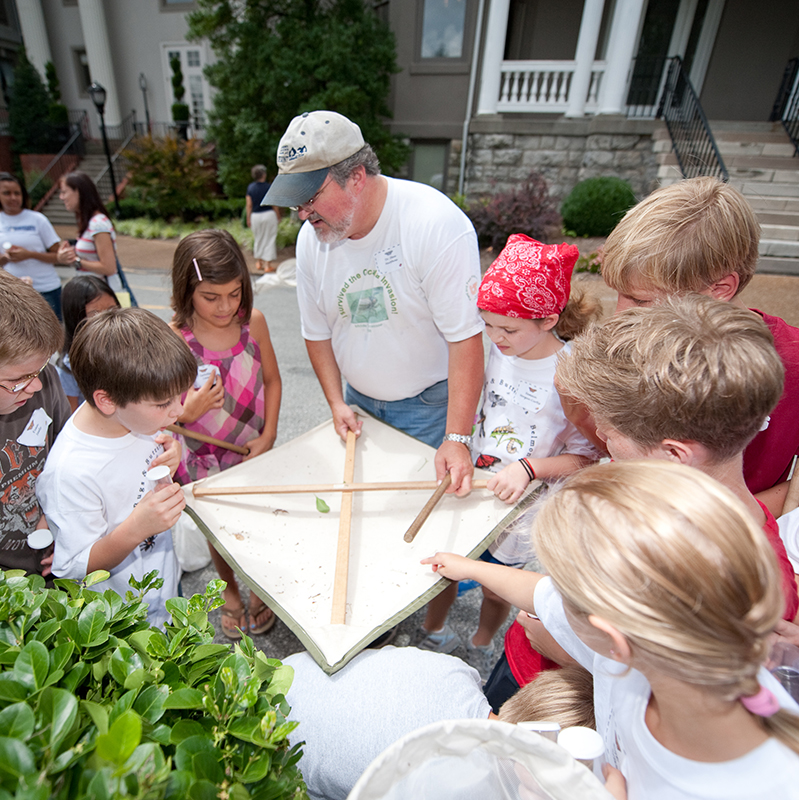 Beetles Bugs Butterflies Bug Camp Children