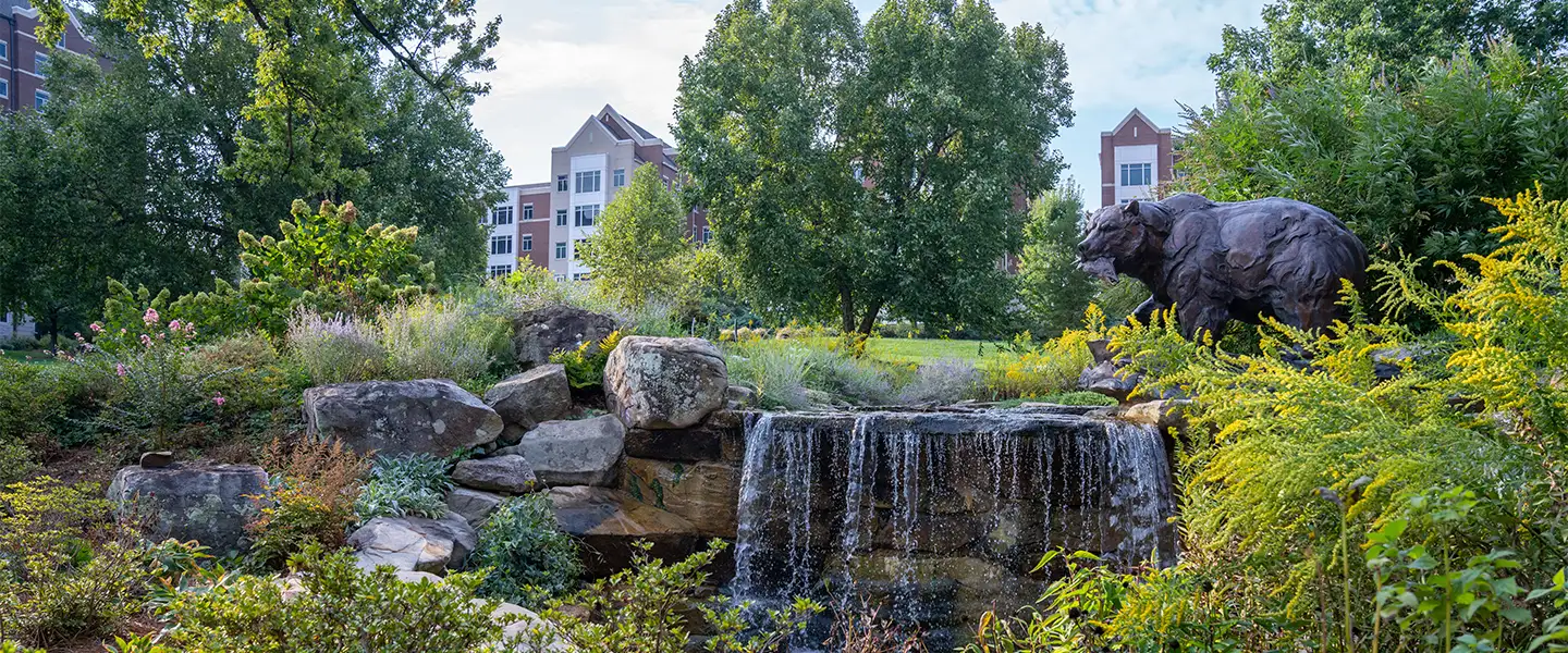 A bronze bear statue stands near a small waterfall surrounded by lush plants and flowers on the Belmont University campus, creating a tranquil outdoor space.