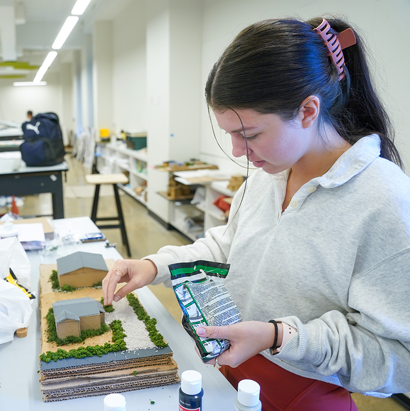 Student working on building an Interior Design model