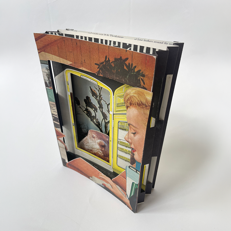 a 3-d accordion book made of collaged and layered pages standing upright.